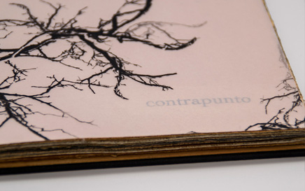 Contrapunto. Libro de Artista
