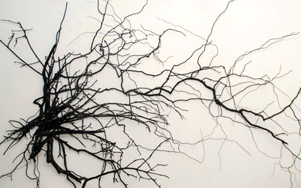 En medio del camino de nuestra vida