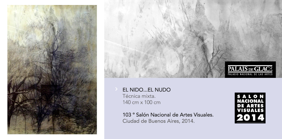 Salón Nacional 2014