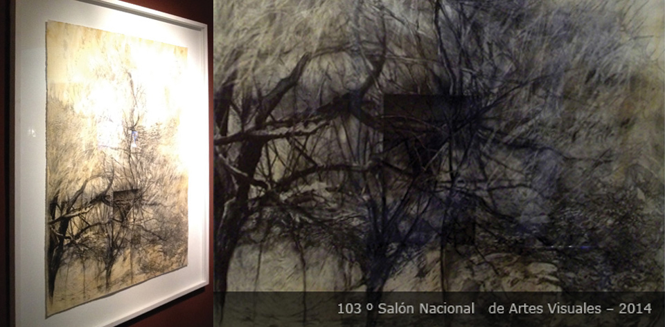 Salón Nacional 2014